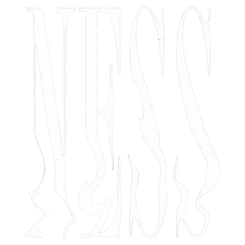 Ness Logo